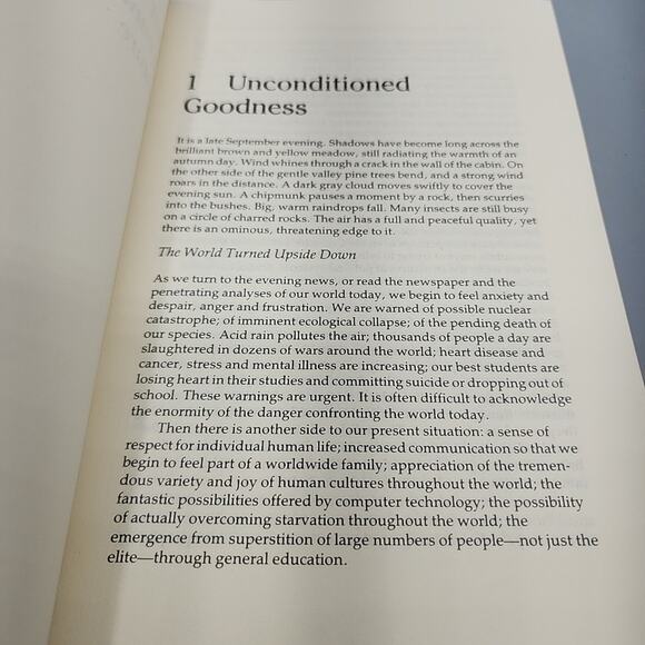 Perceiving Ordinary Magic Science and Intuitive Wisdom by Jeremy W. Hayward - Picture 10 of 13